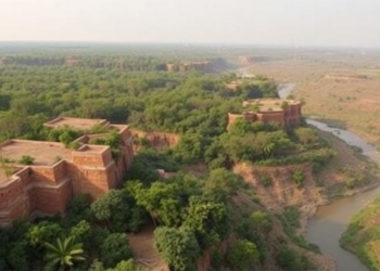 Satellites Reveal India’s Chambal Ravines Are Healing While Its Forests Quietly Deteriorate