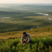 New Global Vegetation Classification System Spans From Continents to Local Plant Communities