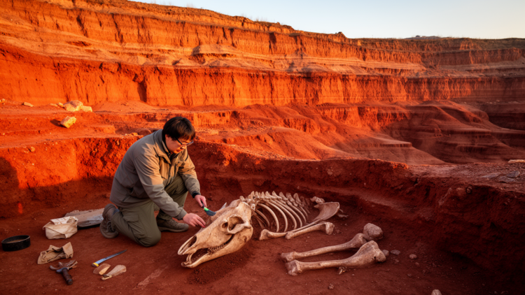 Taphonomy Reveals How China’s Hipparion Red Clay Preserved Neogene Mammal Communities