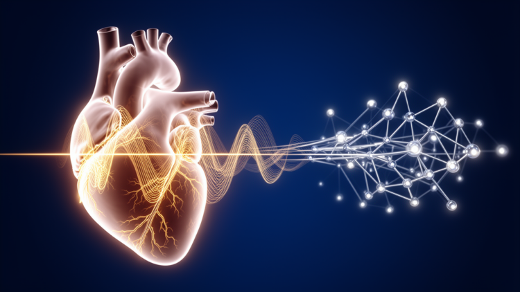 AI Reads the Heart’s Electrical Whispers to Predict Death and Cardiac Disasters