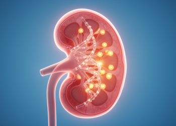 Antioxidant Gene Variants Linked to Kidney Disease in Egyptian Children