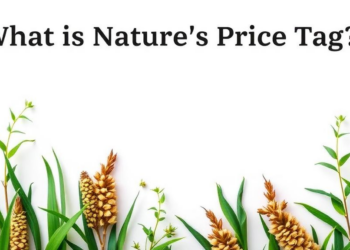 What Is Nature’s Price Tag? Meta-Analysis Reveals How Farm Ecosystem Services Are Valued