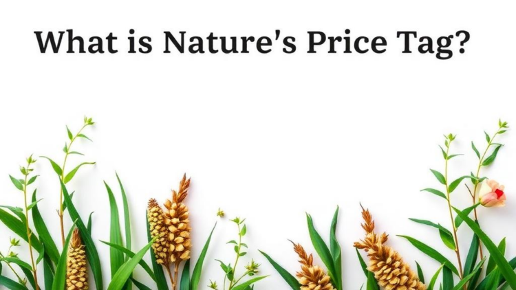 What Is Nature’s Price Tag? Meta-Analysis Reveals How Farm Ecosystem Services Are Valued