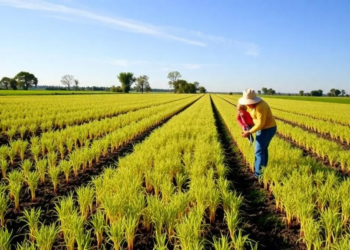 Proof-of-use grants put first users at the heart of sustainable farming innovation