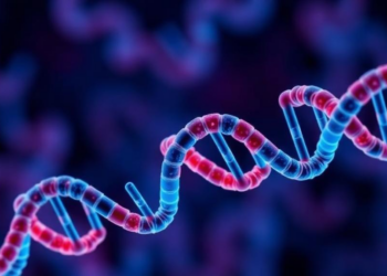 Scientists Link a DNA-Building Enzyme to Fat Rewiring and Chemotherapy Failure in Pancreatic Cancer