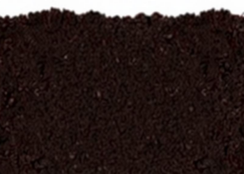 How Restored Soils Lock Away Carbon: The Hidden Machinery Beneath Our Feet