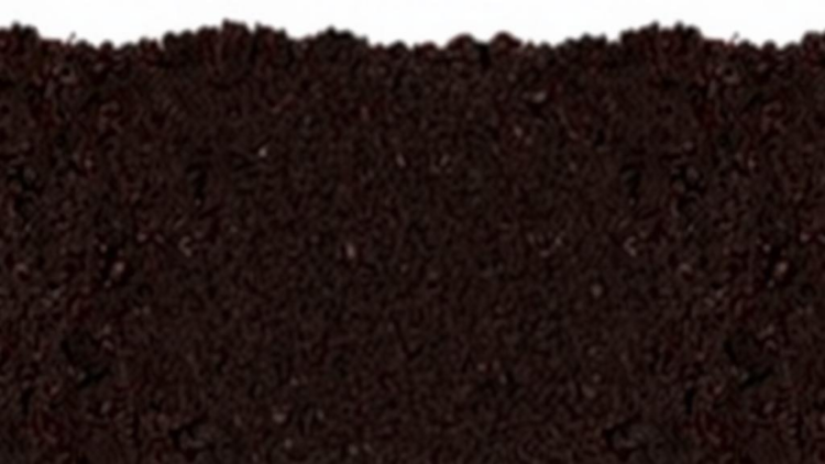 How Restored Soils Lock Away Carbon: The Hidden Machinery Beneath Our Feet