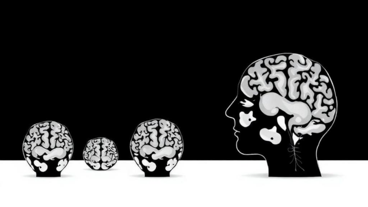 Family History of Multiple Sclerosis Does Not Predict Long-Term Disease Course, Swedish Study Finds