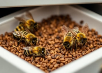 Two drawers of pinned bees are quietly rewriting how the public sees pollinators