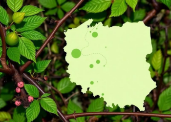 Poland’s Brambles Mapped: 113 Species and Seven Diversity Hotspots