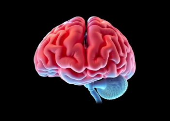 Brain Wiring Shifts During Therapy May Signal Recovery From Bulimia Nervosa