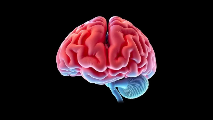 Brain Wiring Shifts During Therapy May Signal Recovery From Bulimia Nervosa