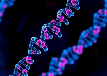 RNA-Binding Protein Switch Could Sensitize Deadly Pancreatic Cancer to Radiation