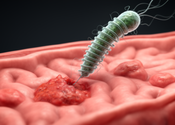 Stomach bacterium H. pylori may drive one in five colorectal cancer cases worldwide