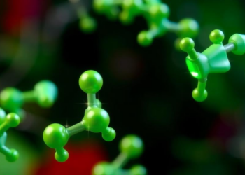 How Static Magnetic Fields May Distort the Molecules Behind Chlorophyll, Hemoglobin and Vitamin B12