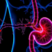 PI3K/AKT/mTOR Pathway Emerges as Central Target in Gastrointestinal Cancers