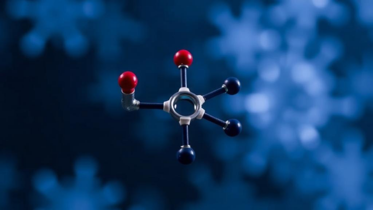 Chlorine Position Decides Which Oxadiazole Molecules Kill Breast Cancer Cells