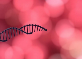 Genetic Typing of Tuberculosis Isolates in Kerala Reveals Rare BCG Disease Cases