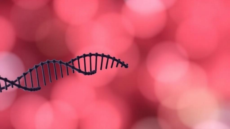 Genetic Typing of Tuberculosis Isolates in Kerala Reveals Rare BCG Disease Cases