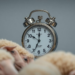 Lightweight AI Watches Sheep Around the Clock on a Tiny Edge Computer