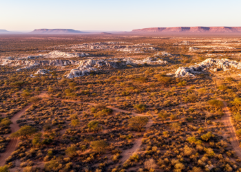 Namibian Karstveld Vegetation Mapped in First Comprehensive Study