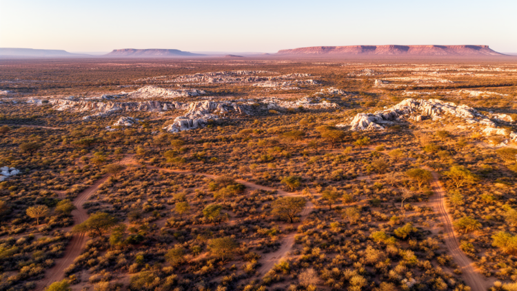 Namibian Karstveld Vegetation Mapped in First Comprehensive Study
