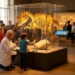 Museums Balance Scientific Discovery with Public Education