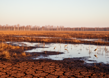 European Wetlands Face Climate and Biodiversity Crisis