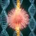 Gene Behind Rare Metabolic Disorder Also Drives Inherited Blindness, Study Finds