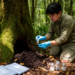 Tree-Hole Humus Yields Two Novel Fungal Species in China