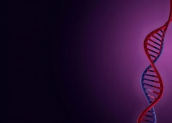 Pre-ejaculate Carries Surprisingly High DNA Levels, Forensic Study Finds