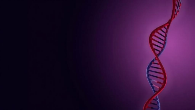 Pre-ejaculate Carries Surprisingly High DNA Levels, Forensic Study Finds