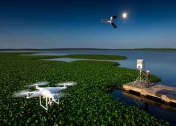 Satellites, Drones and Radar Join Forces to Track the World’s Worst Water Weed