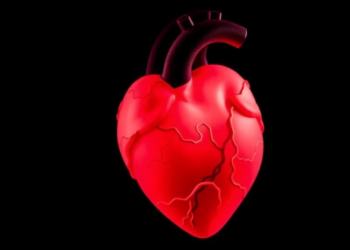 Rare Fetal Heart Defect Linked to Diabetes Underscores Power of Preconception Care