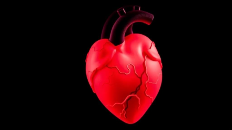 Rare Fetal Heart Defect Linked to Diabetes Underscores Power of Preconception Care