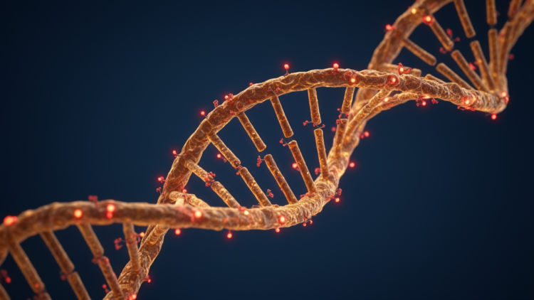 Ancient genome function persists despite frequent mutations