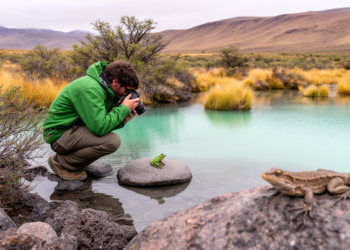 Patagonia’s Hidden Frogs and Lizards: First Full Species Census of Laguna Blanca National Park