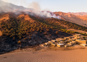 Drought, Fire and People Converge to Threaten Iran’s Ancient Zagros Forests, New High-Resolution Risk Map Reveals