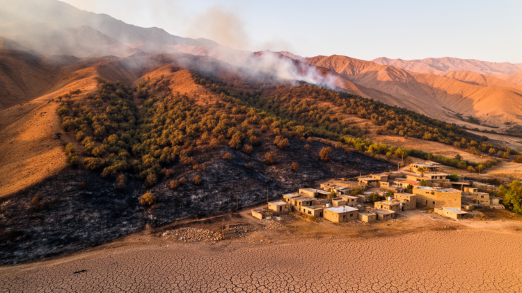 Drought, Fire and People Converge to Threaten Iran’s Ancient Zagros Forests, New High-Resolution Risk Map Reveals