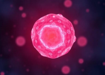 Seven-Chemical Cocktail Rewinds Human Stem Cells to an Eight-Cell Embryonic State