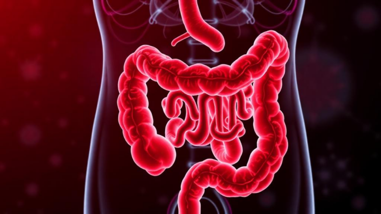 Antibody Patterns Reveal Inflammatory Bowel Disease Years Before Symptoms Appear