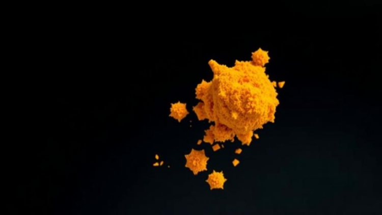 Turmeric’s Weakness Fixed: Sugar Nanoparticles Boost Curcumin Solubility 1,100-Fold