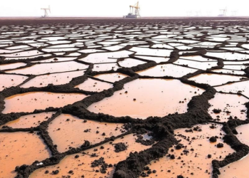 Qatar’s Radiation Landscape: Soils Stay Safe While Oil-Field Sludge Raises Red Flags