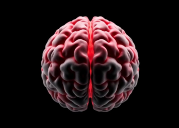 Sortilin emerges as a two-faced switch driving glioblastoma stemness and drug resistance in 3D spheroids