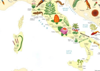 Botanists Rewrite Italy’s Wild Plant Map with New Records and Corrections