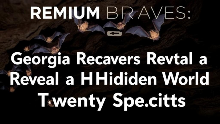 Georgia’s Caves Reveal a Hidden World of Twenty Bat Species