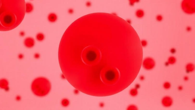 Blood Clots Are Rising Sharply in Leukemia Patients, National Study Warns