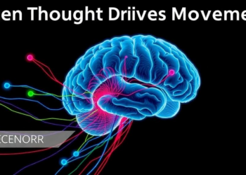 When Thought Drives Movement: How the Brain’s Cognitive and Motor Systems Intertwine