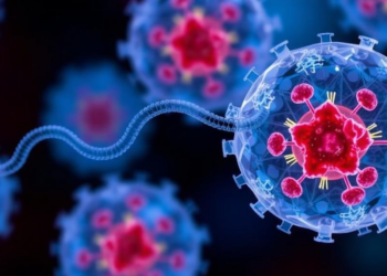 CRISPR Editing Route, Not Just Target Genes, Reshapes CHO Cell Lines