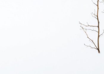 New Checklists Aim to Boost Real-World Uptake of Ecosystem Service Assessments in Europe